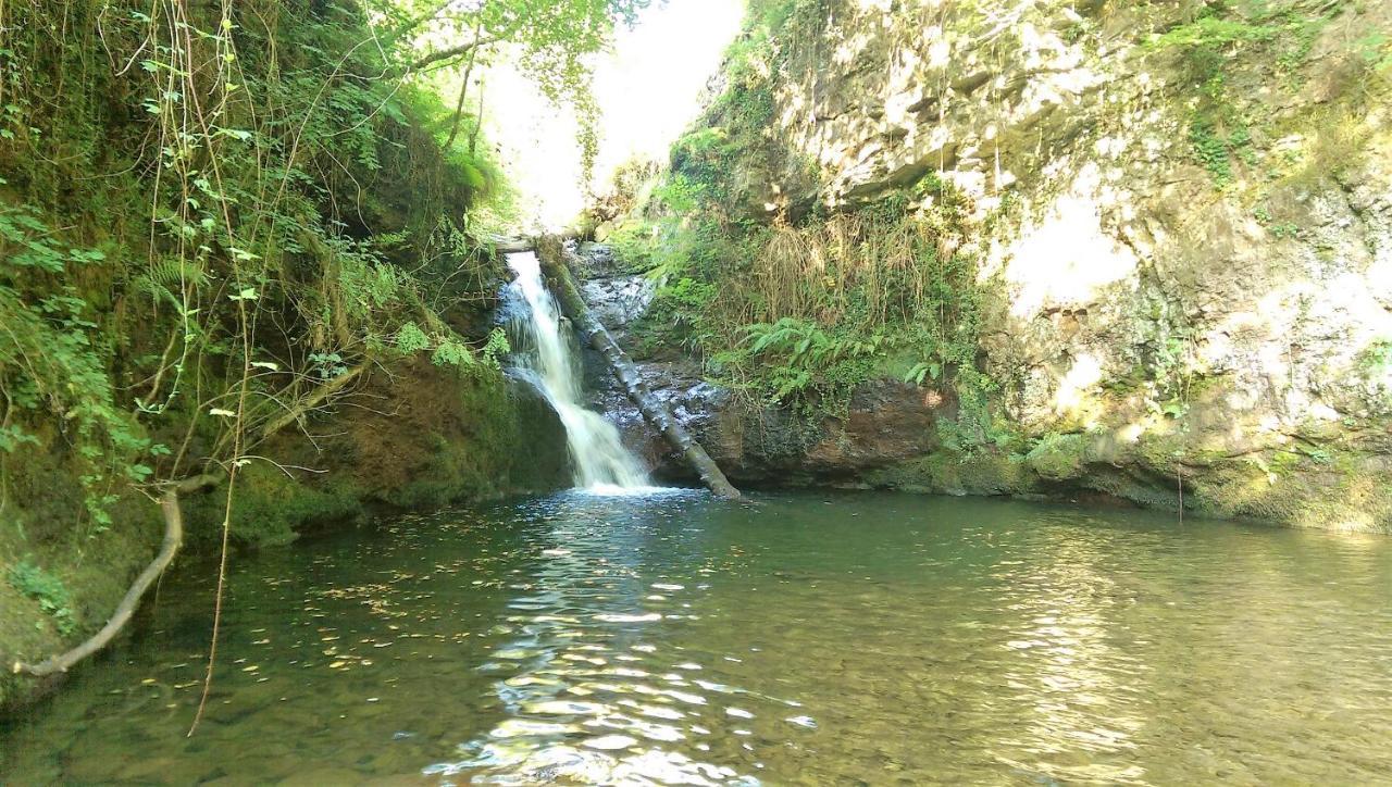 Pidream . De Pisuena